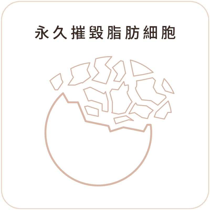 倍克脂消脂針 安心選用01