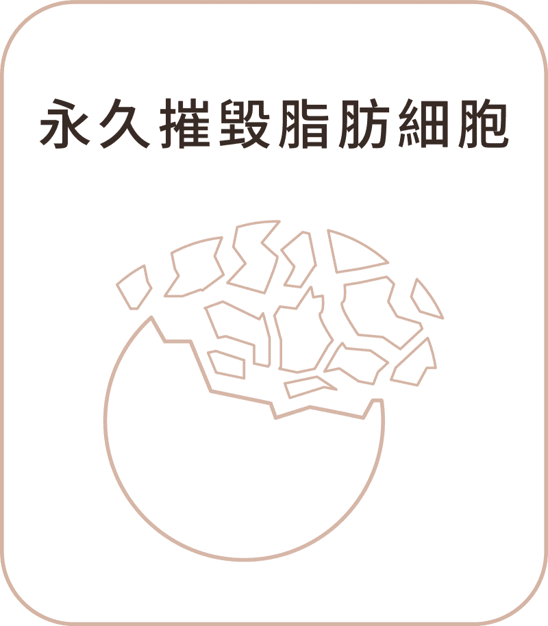倍克脂消脂針 手機版 安心選用01