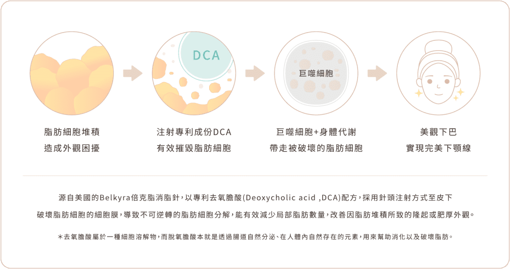 倍克脂消脂針 針劑作用途