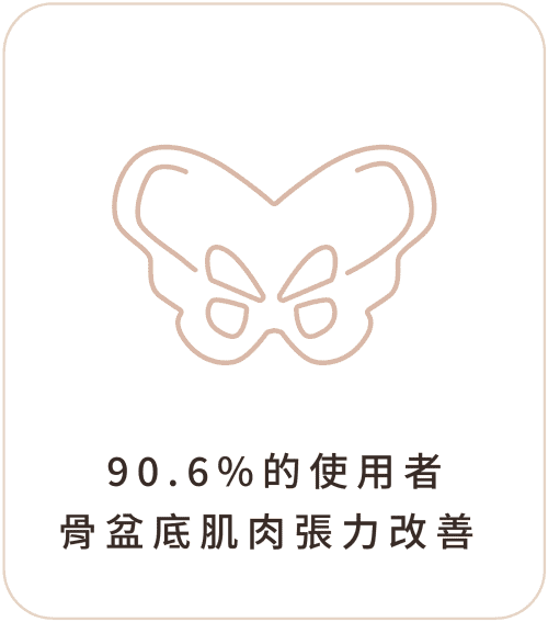 G動椅 安心選用02