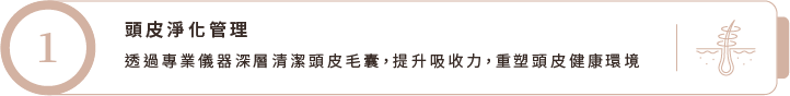 頭皮淨化管理 頭皮淨化管理