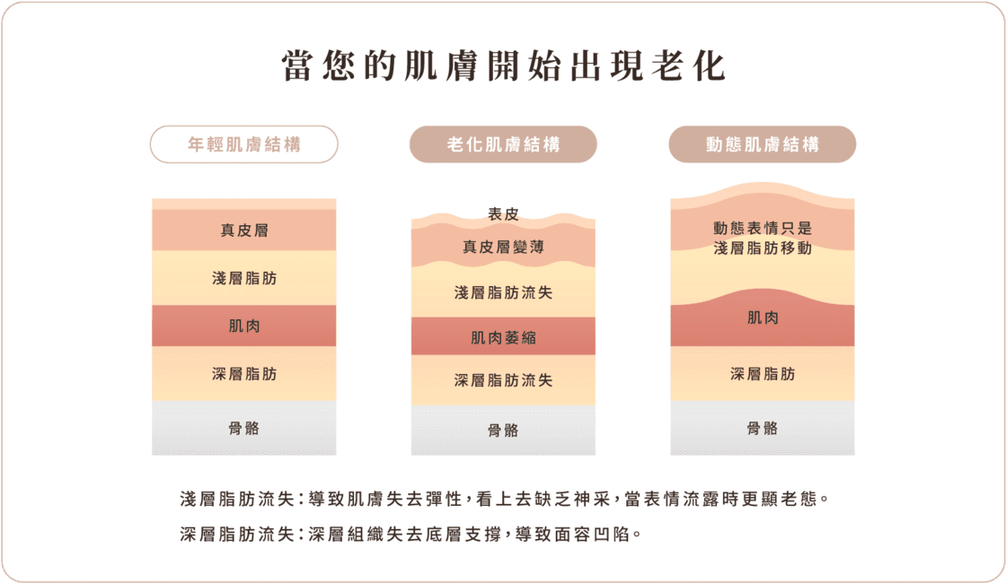 玻尿酸 肌膚老化