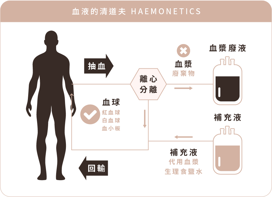 MCS+血漿置換療程 MCS+血漿置換療程