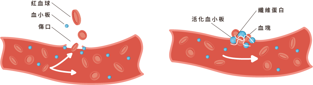 血小板功能 血小板功能