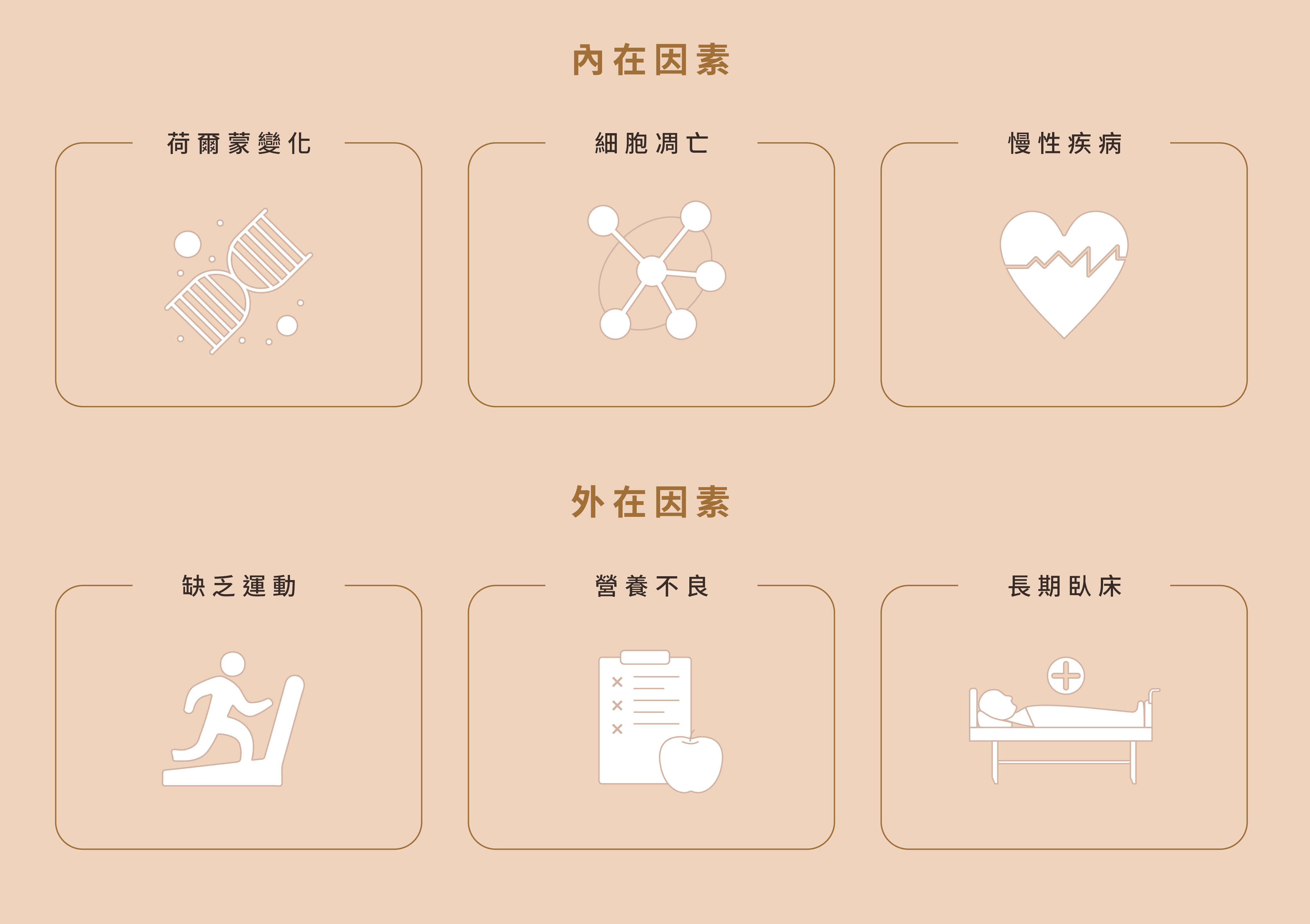 肌少症造成原因 肌少症造成原因