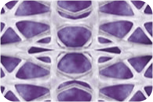 舒顏萃 特色圖 03