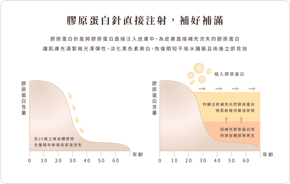 双美膚力膠原蛋白 功能01