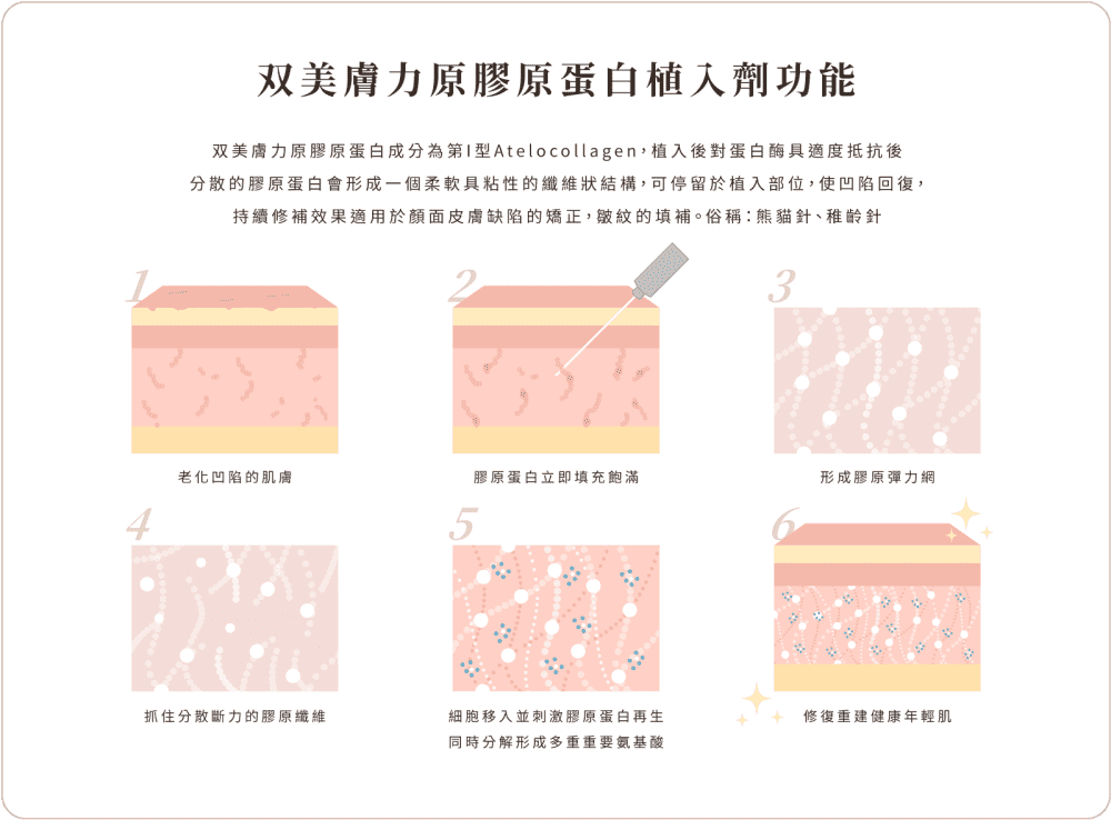 双美膚力膠原蛋白 功能02