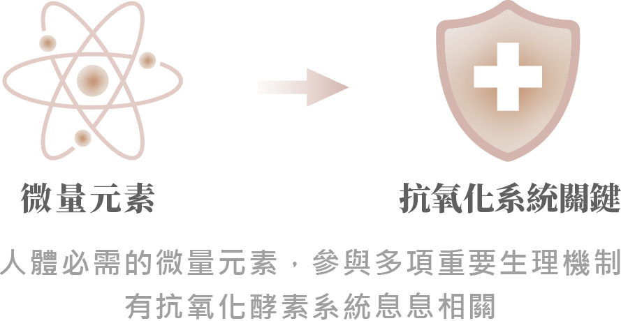 硒是什麼?改善皮膚暗沉與修復關鍵|晶翎美學診所-04.png
