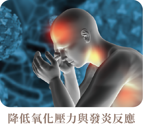 從打呼看健康:硒這個微量元素,竟能影響你的睡眠呼吸!_工作區域 1 複本 2.png